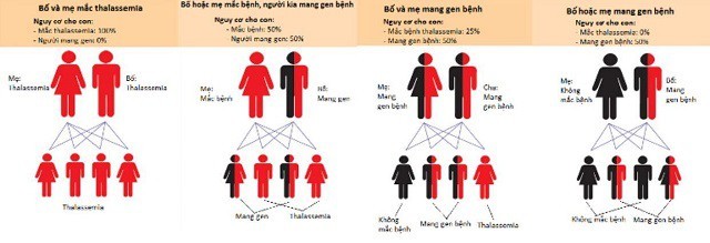 Tôn Thất Dũng và phương pháp cải thiện bệnh tan máu bẩm sinh (Thalassemia)