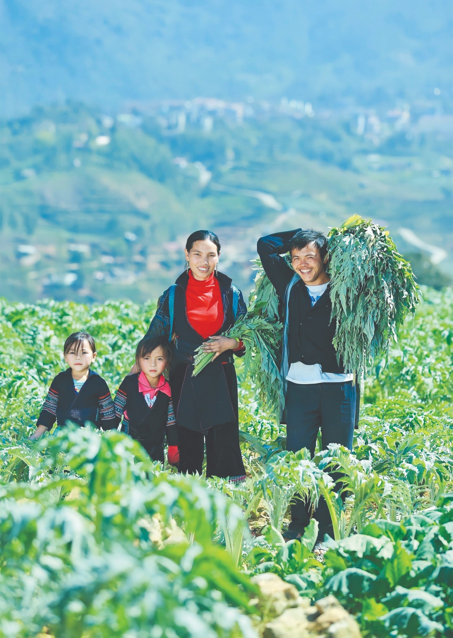 Phát triển cây dược liệu:  Bảo tồn nguồn gen thuốc Nam quý hiếm, góp phần nâng cao chất lượng cuộc sống của nhân dân