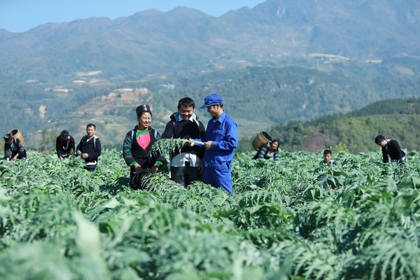 Y học cổ truyền là “y học bằng chứng” tinh hoa của dân tộc