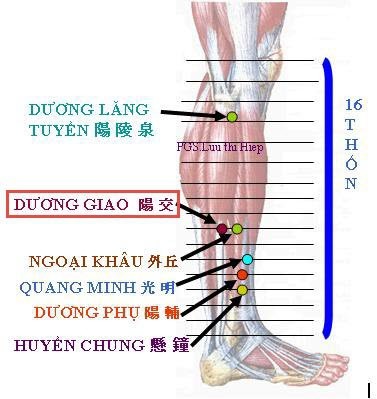 Vị trí và tác dụng của huyệt dương giao