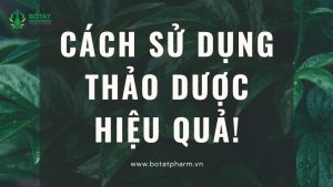 Cách Sử Dụng Thảo Dược Hiệu Quả