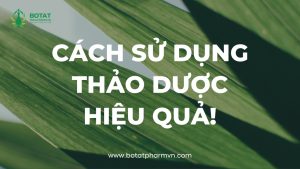 Cách Sử Dụng Thảo Dược Hiệu Quả