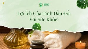 Lợi Ích Của Tinh Dầu Đối Với Sức Khỏe!