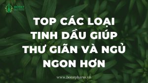 Top Các Loại Tinh Dầu Giúp Thư Giãn Và Ngủ Ngon Hơn!