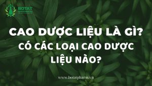 Cao dược liệu là gì? Có các loại cao dược liệu nào?