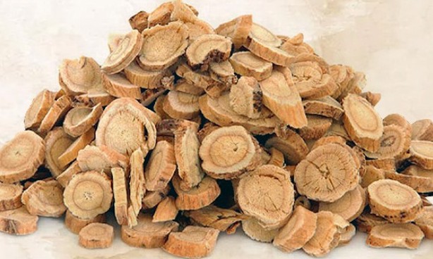 18 bài thuốc hữu ích từ cây chi tử - BOTAT Herbal Medicine